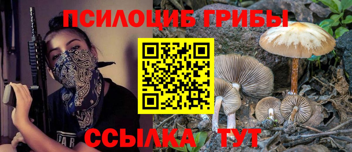 Галлюциногенные грибы мухоморы  Псилоцибиновые грибы мицелий  Россия  Вход с VPN 